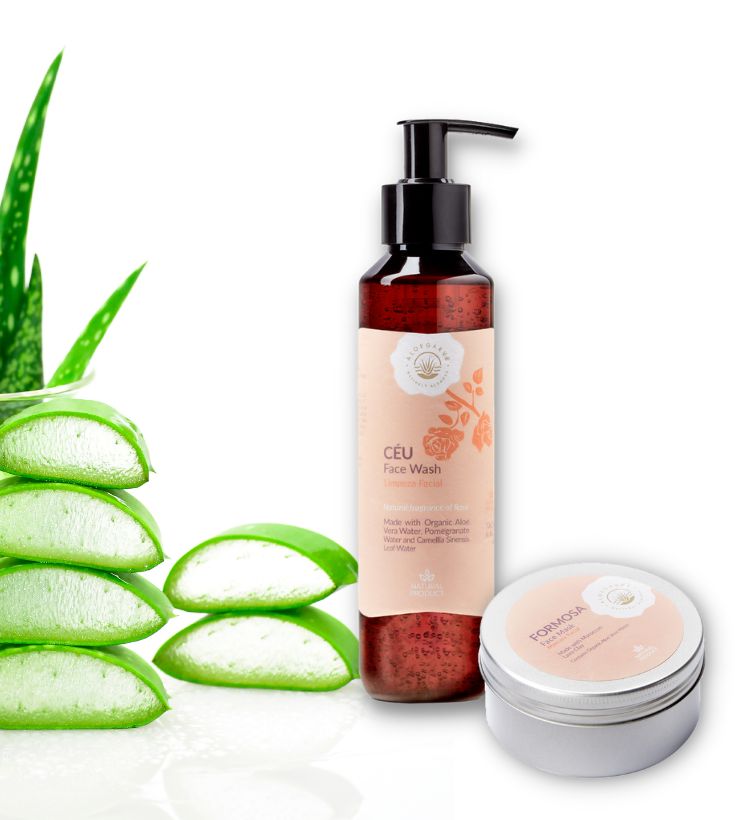 Pack Detox Facial Aloe Vera Natural