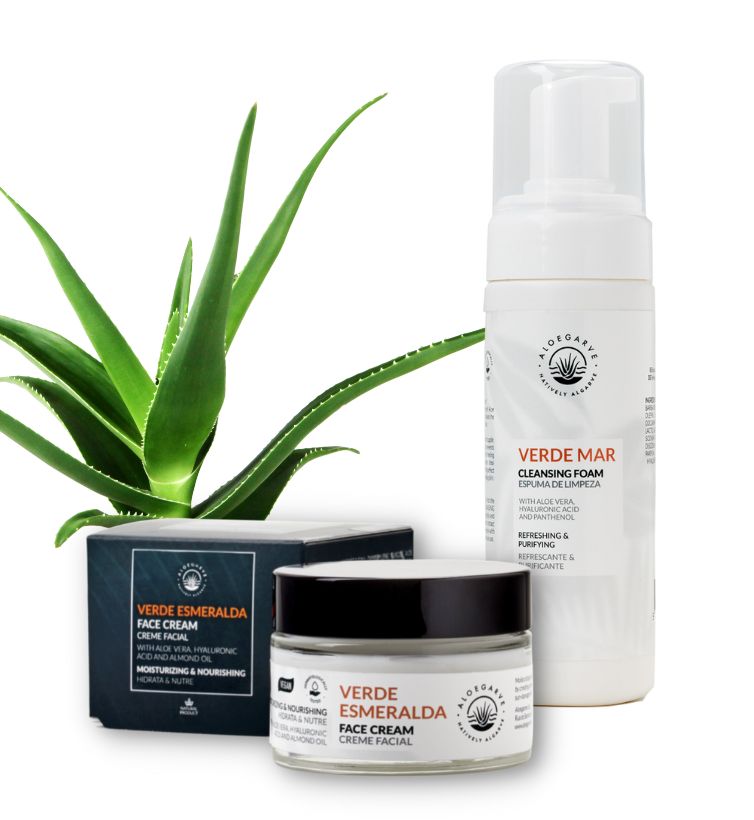Anti Aging Facial Cream + Cleaning Foam Aloe Vera Natural