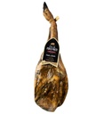 Tusk Palette of Barrancos 24M